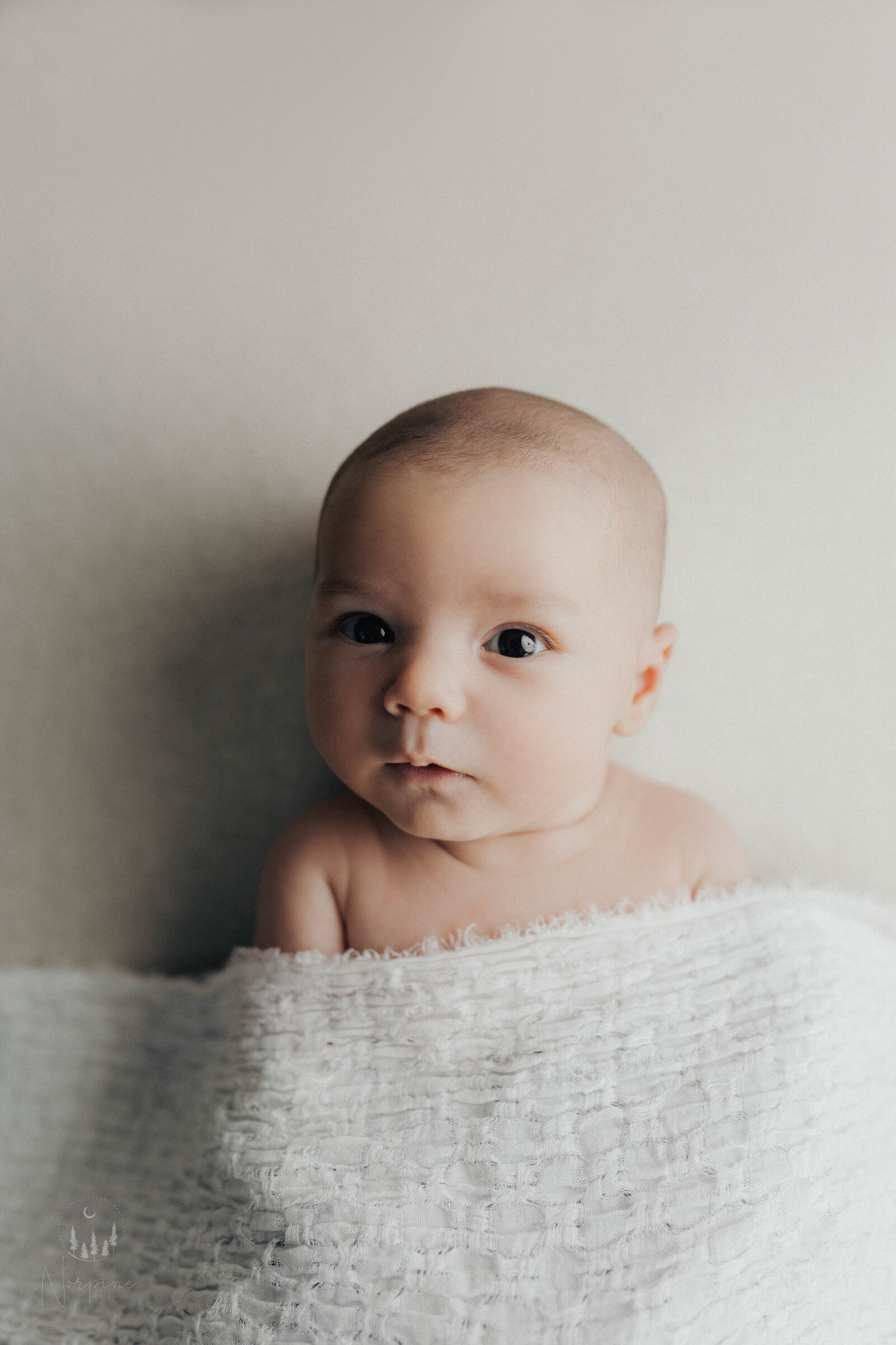 a gaylord michigan newborn boy wrapped in white, on a white backdrop, laying on his back and making eye contact with the camera, side lit.