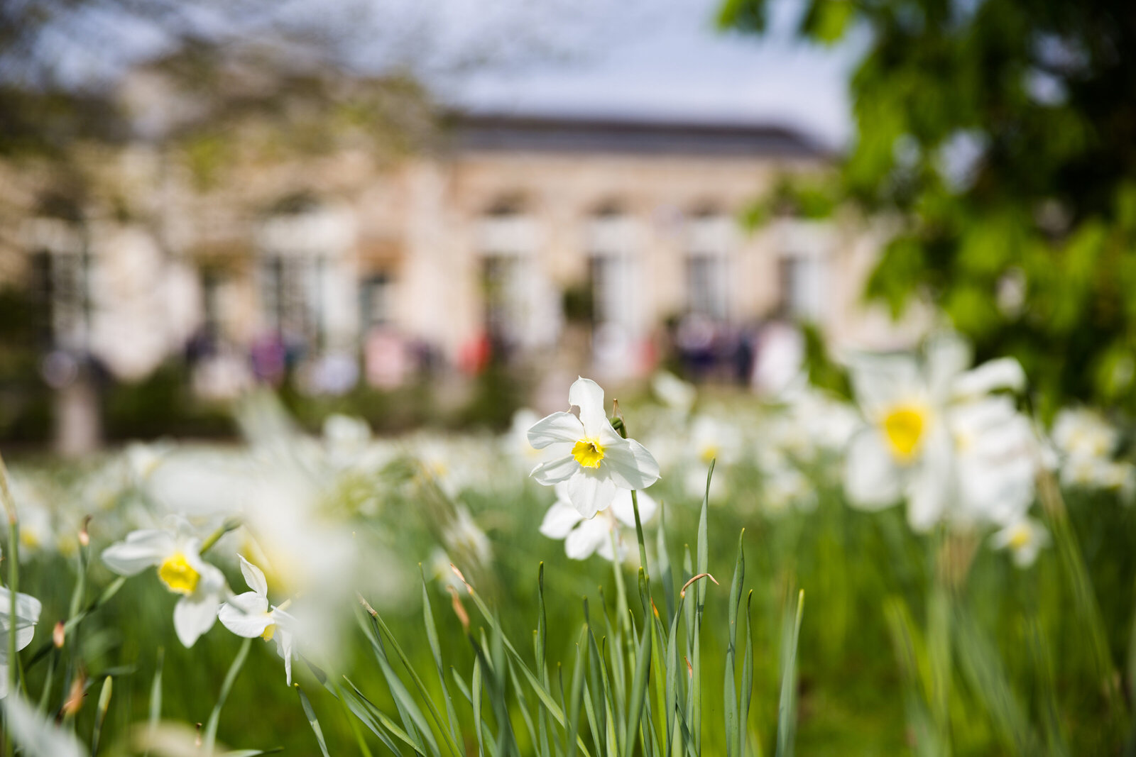Woburn-Abbey-wedding-photography-1017