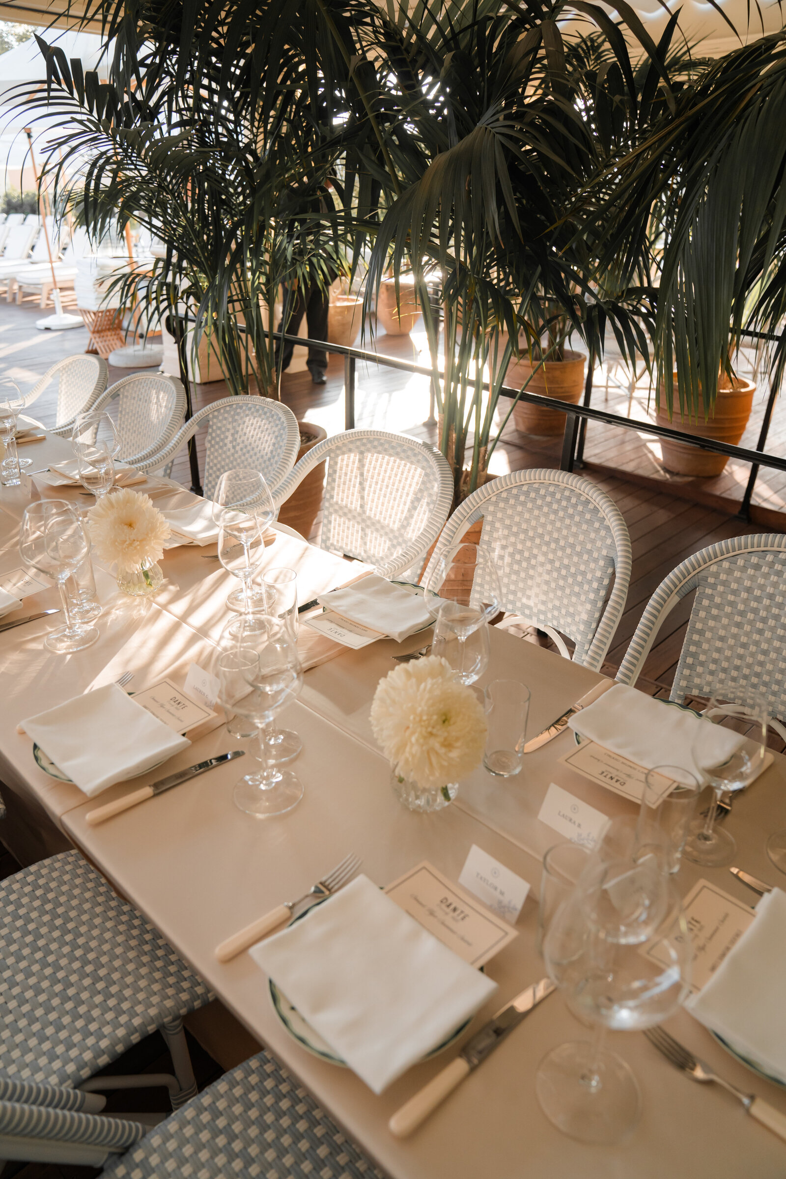 Client Gallery KYE00494