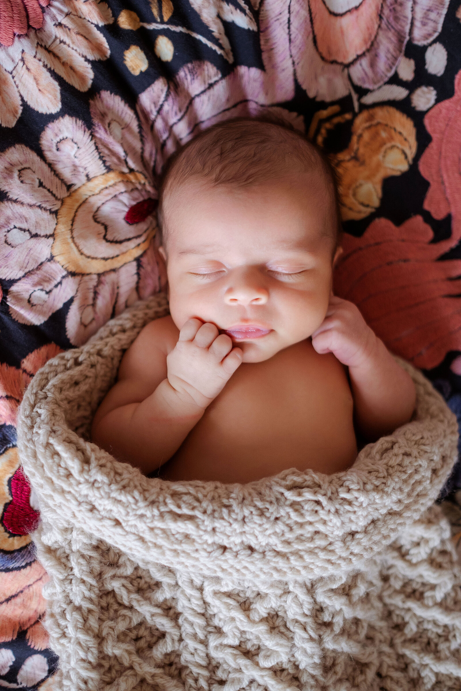 Dearborn newborn photographer