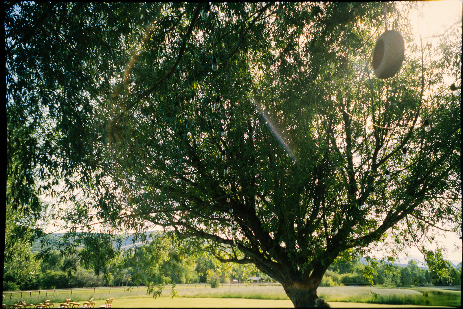 liv + kicker_film-15