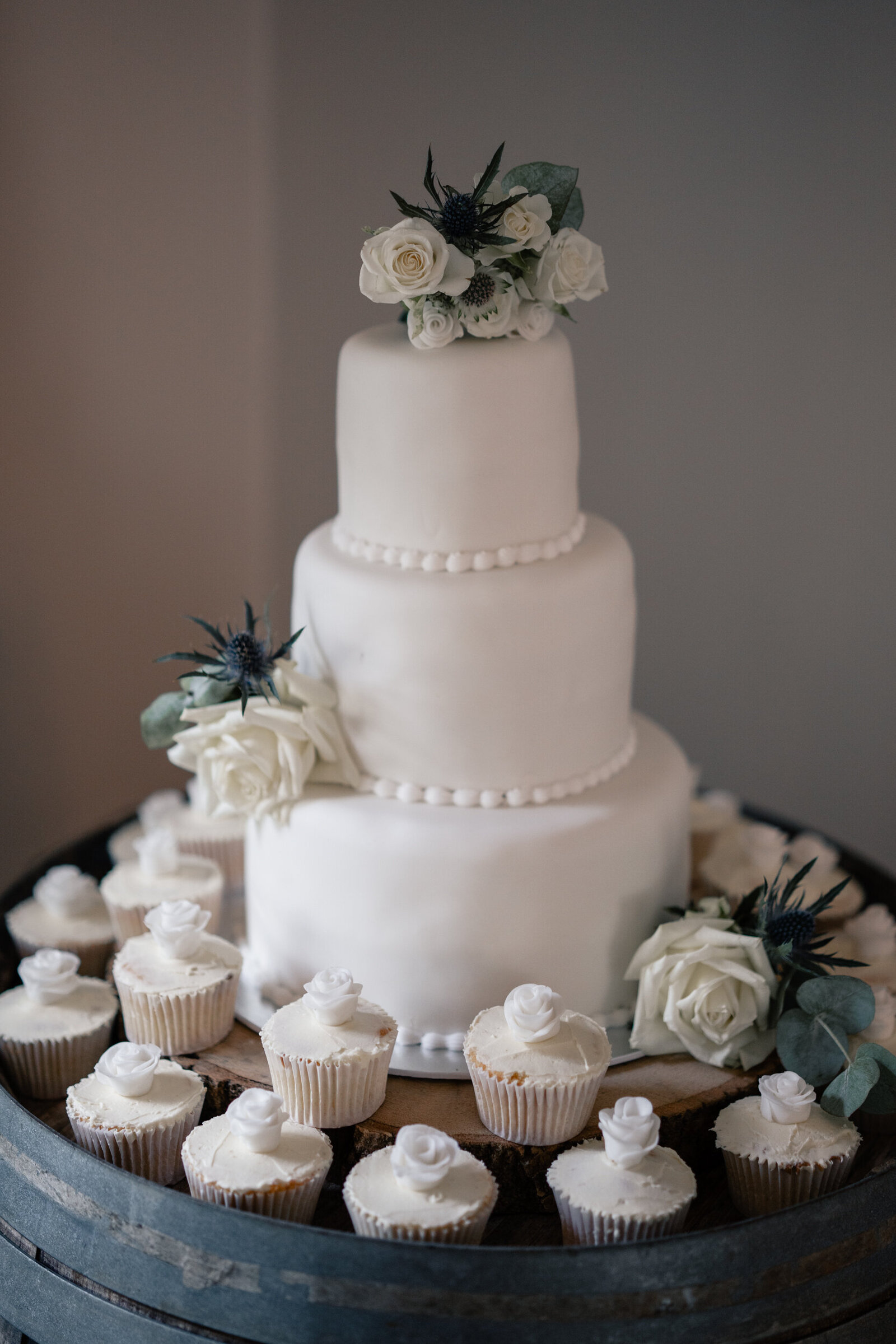 Gellifawr wedding photography_-127