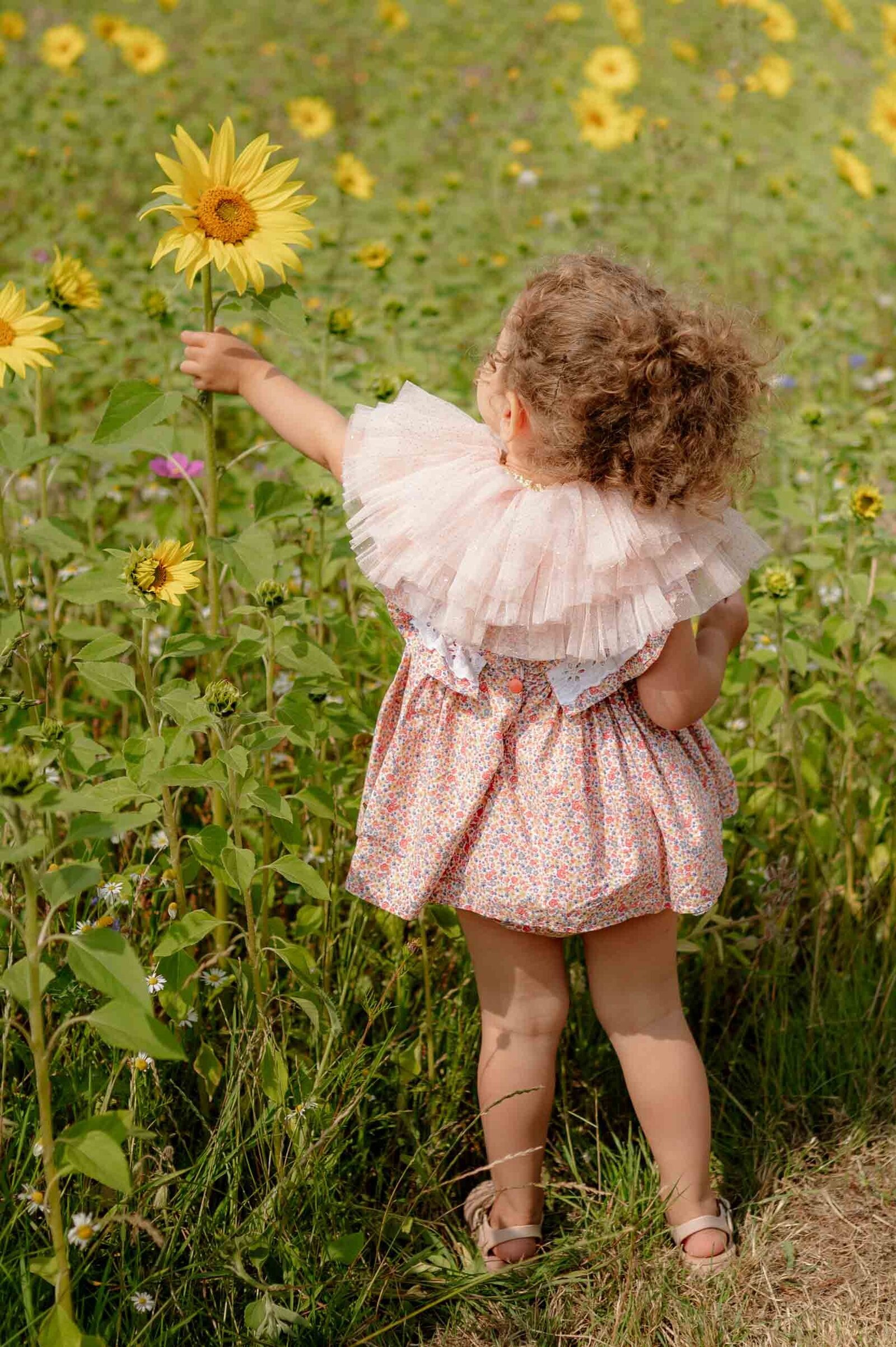family-photoshoot-worcestershire-116