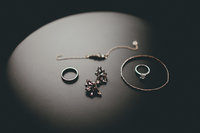 the_buffalo_collective_lauren_apel_021
