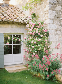 Provence Le Mas de le Rose-16-10