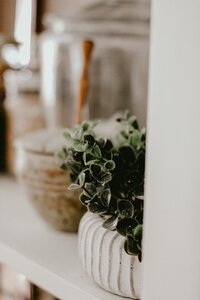 homestead-simple-living-cottagecore-country-living-slow (13)