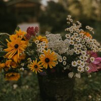 E7E53267-0C7F-49C4-9CED-A9AC2C9F60F3