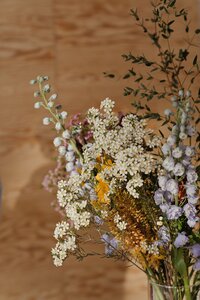 Donna Cherie Showit Website by Square Peg Studio_0006