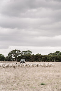 Woolbrook+Homestead+Marnie+Hawson (4)