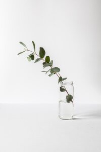 alex-lvrs-mwINQsW2KJs-unsplash