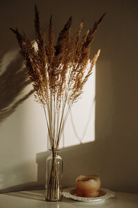 Wild West (23)_1024px
