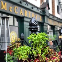 Donegal-Square--11