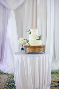virginia-wedding-planner-bri-and-ben-founders-inn-and-spa-47