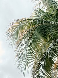rachel-coyne-vrh7Z-igZyM-unsplash