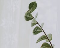 fotografierende-3DI41KK7laM-unsplash