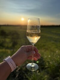 IMG_5150
