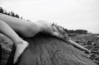 pexels-dmitry-daltonik-11881802