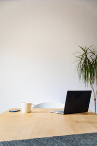 geert-pieters-XAg7CqxcIx4-unsplash