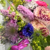 C8237B81-BD20-4D51-A9F2-657E98ABFEC7