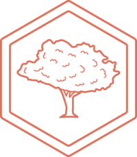 illustration of an oak tree icon for WhereAbouts wedding co