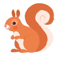 squirrel-07
