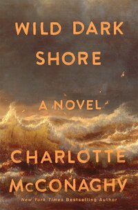 wild dark shore book cover | carlisledigitalmarketing.com
