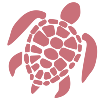 2.png 2.png