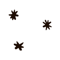 3 black sparkles