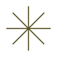 BrightSide_Assets_Star_Green
