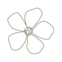 Dark Green simple flower line drawing