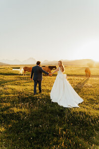 bride and groom walking through a field with horses in the background