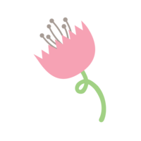 pink-flower