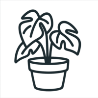 Large Monstera-style plant in a pot representing flourishing collaboration and creative expansion