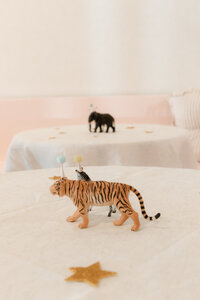 Animal decorations for a birthday party at JoyBabe Studio in La Mesa CA