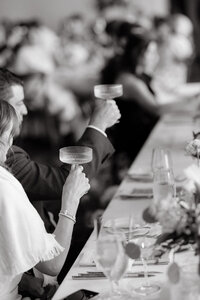 Guests cheering at wedding reception taken by the best photographer in New England