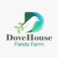 Modern logo featuring a white dove with green leaves inside a teal "D," next to the text “DoveHouse Fields Farm.”