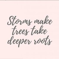 Storms-make-trees-take-deeper-roots-quote-Holly-McClain-Coaching