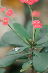 cleveland rockefeller greenhouse engagement session