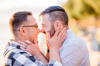 gay couple engaged at lincoln park