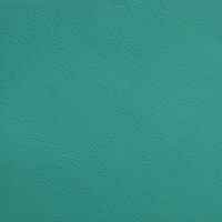 Leather-Standard-SpringTide