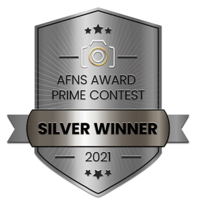 AFNS Award Prime Contest Silver Winner Emblem