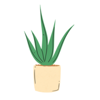 Illustration of an aloe plant in a pot