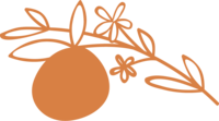 Orange illustration of orange blossom icon