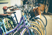 Canva - Assorted Cruiser Bicycles