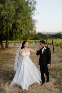 California Elopement Photographer