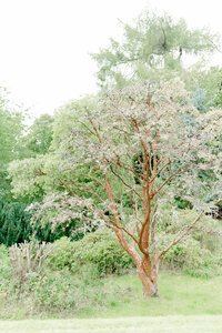 Cromlix House Wedding Scotland, best wedding photographer scotland, Mansfield Traquair Wedding Edinburgh, Scotland wedding photographer. Best wedding photographer Edinburgh Scotland, Jill Cherry Porter, Editorial Wedding Photographer in Scotland, Destination Wedding Photography, Lake Como Wedding Photographers, Lake Como Wedding Photographer, Destination wedding photographer Europe, Destination Wedding Photographer, Destination Wedding Photography, Scotland wedding photographer, best wedding photographer Scotland, best wedding photographers UK, wedding photographer UK, Fine Art Wedding photographer UK, wedding photographers Europe, Gleneagles wedding photographer, Dundas Castle wedding photographer, Editorial wedding photographer Scotland, Hopetoun House wedding photographer, Rosebery House wedding photographer, Borthwick Castle wedding photographer, Cluny Castle wedding photographer, Drumtochty Castle wedding, wedding planners Scotland, luxury wedding planner UK, luxury wedding planners Europe, luxury wedding planner Scotland.