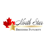 North Star logo
