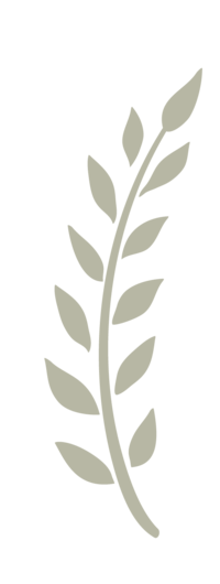 plant-textures-09