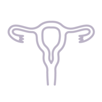 This icon shows the outline of a uterus and fallopian tubes in light purple.