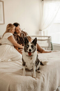 photography-family-ft-worth